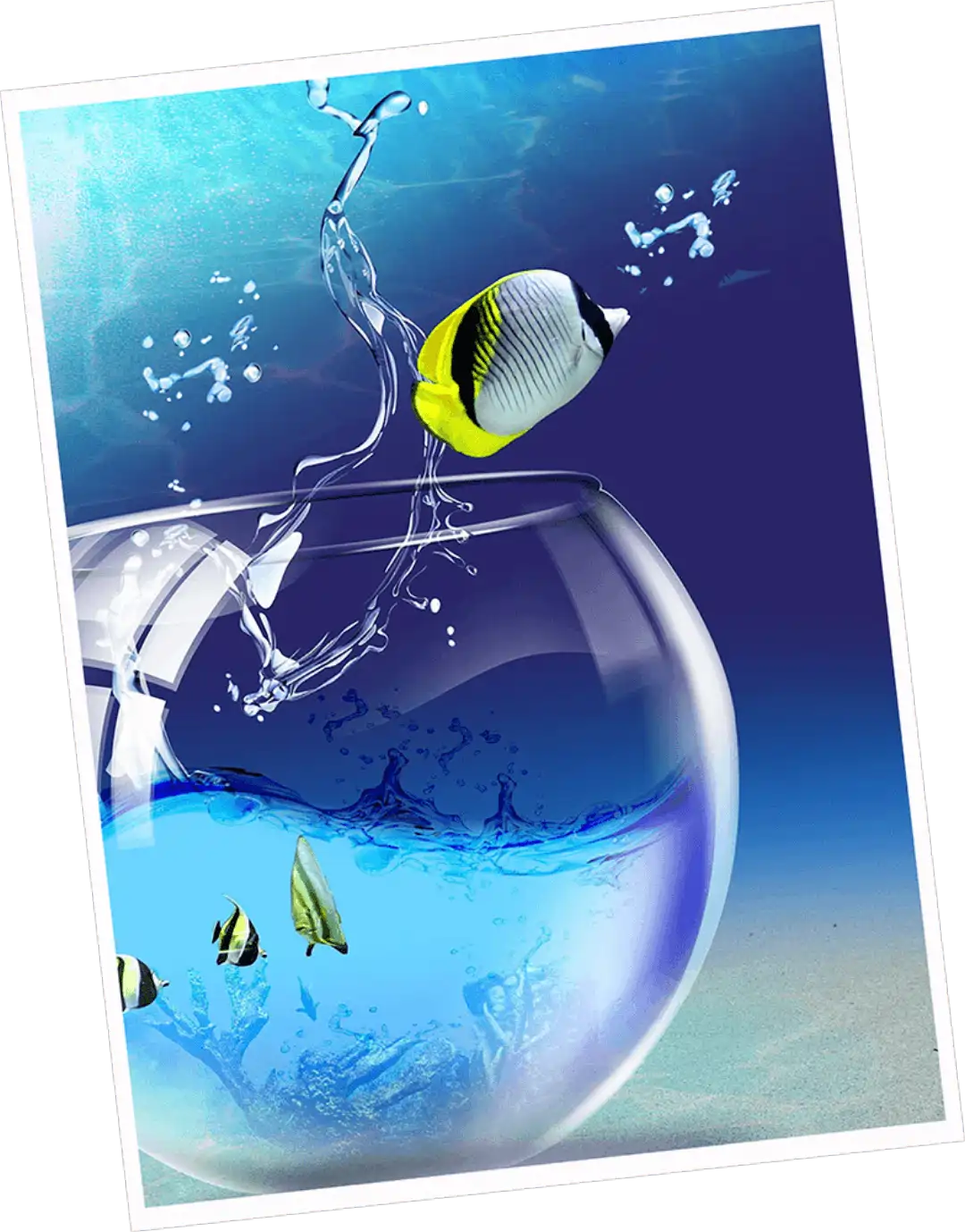 fish coming out of pond